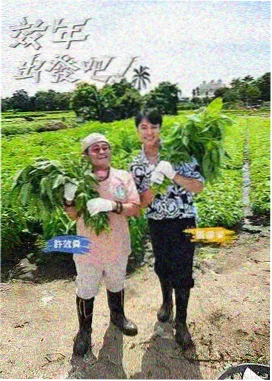 女人免费观看大全电视剧 以家人之名